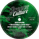 Jestofunk - I’m Gonna Love You / Special Love (Micky More & Andy Tee 12 Inch Remixes)