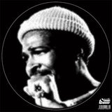 Marvin Gaye - I Wanna Be Where You Are / I Want You