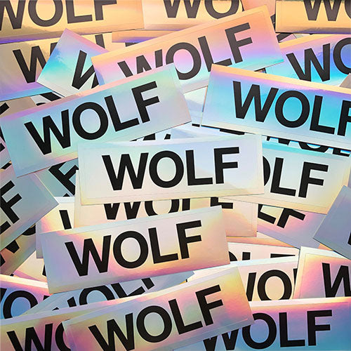 FRITS WENTINK - FROGS, TOADS & NEWTS