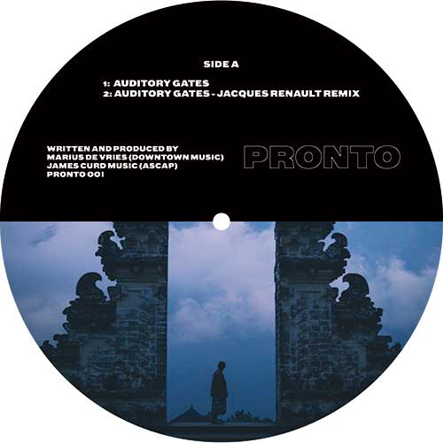 James Curd & Marius De Vries - Auditory Gates