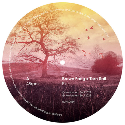 Brown Fang x Torn Sail - Exit & Endless
