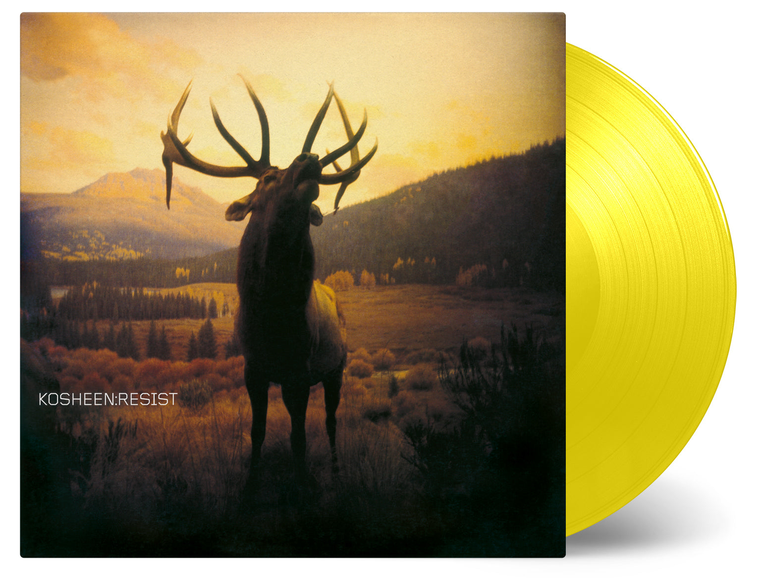 KOSHEEN - RESIST (COLOURED VINYL) – Horizons Music