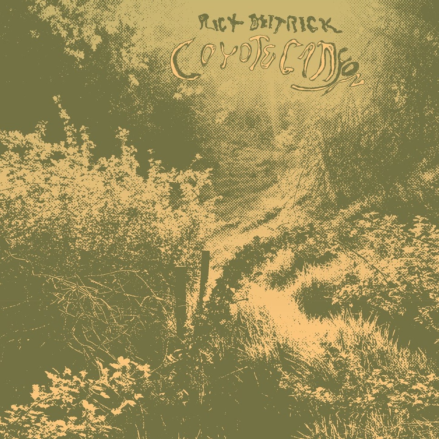 Rick Deitrick - Coyote Canyon