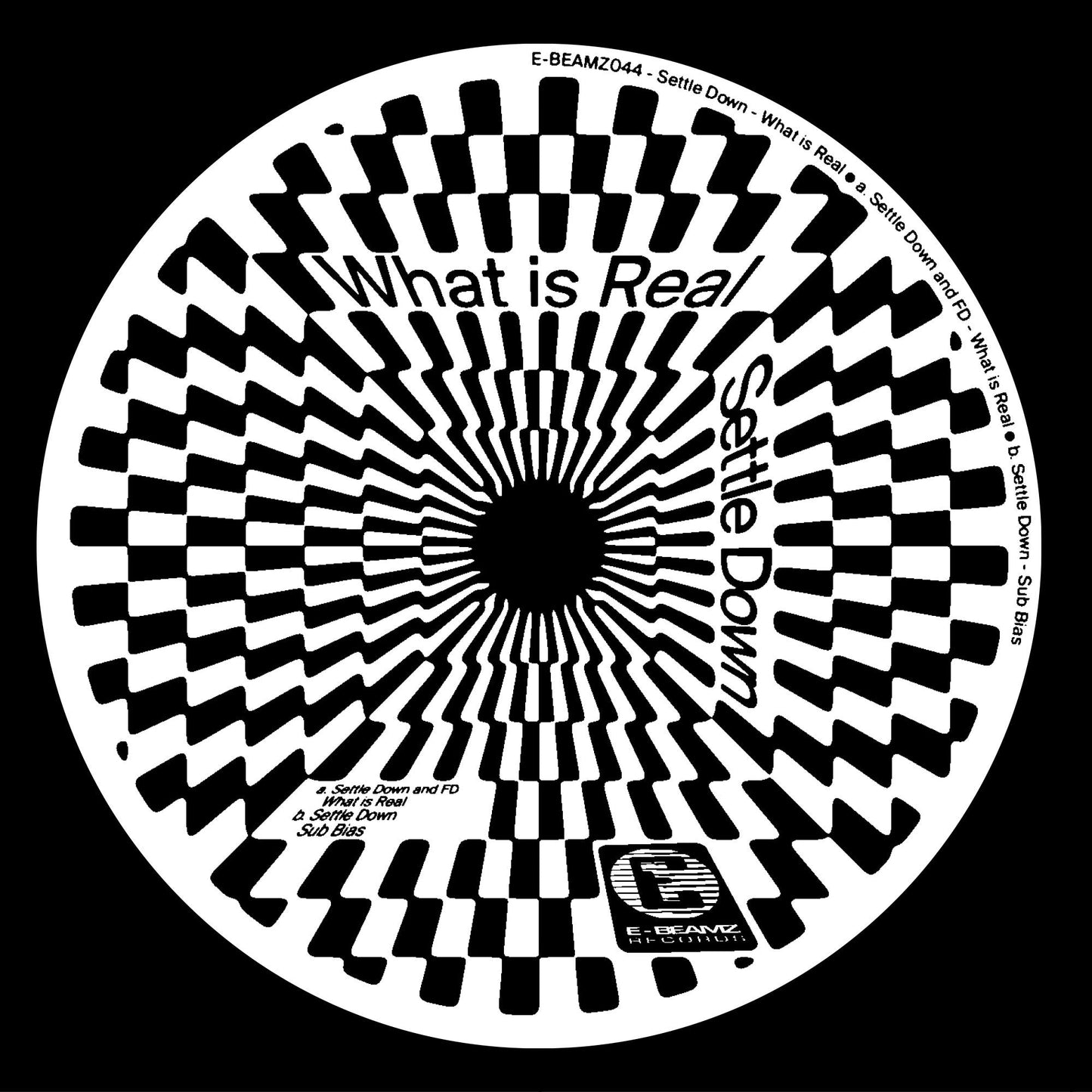 Settle Down - What Is Real / Sub Bias