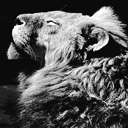 Anthony Naples - El Portal EP