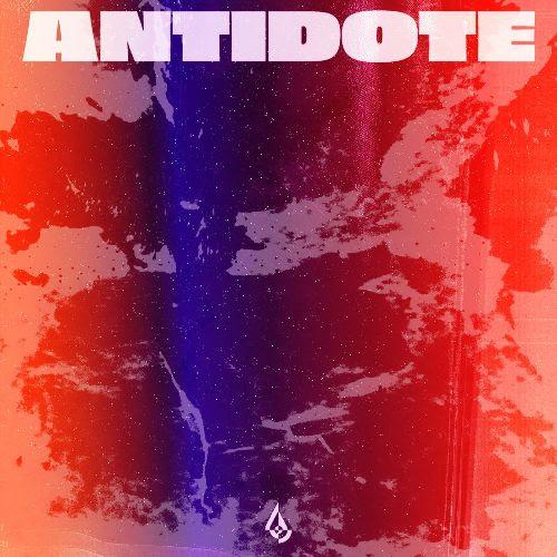 Mungo's Hi Fi - Antidote