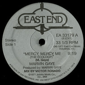 Marvin Gaye - Mercy, Mercy Me (The Ecology)