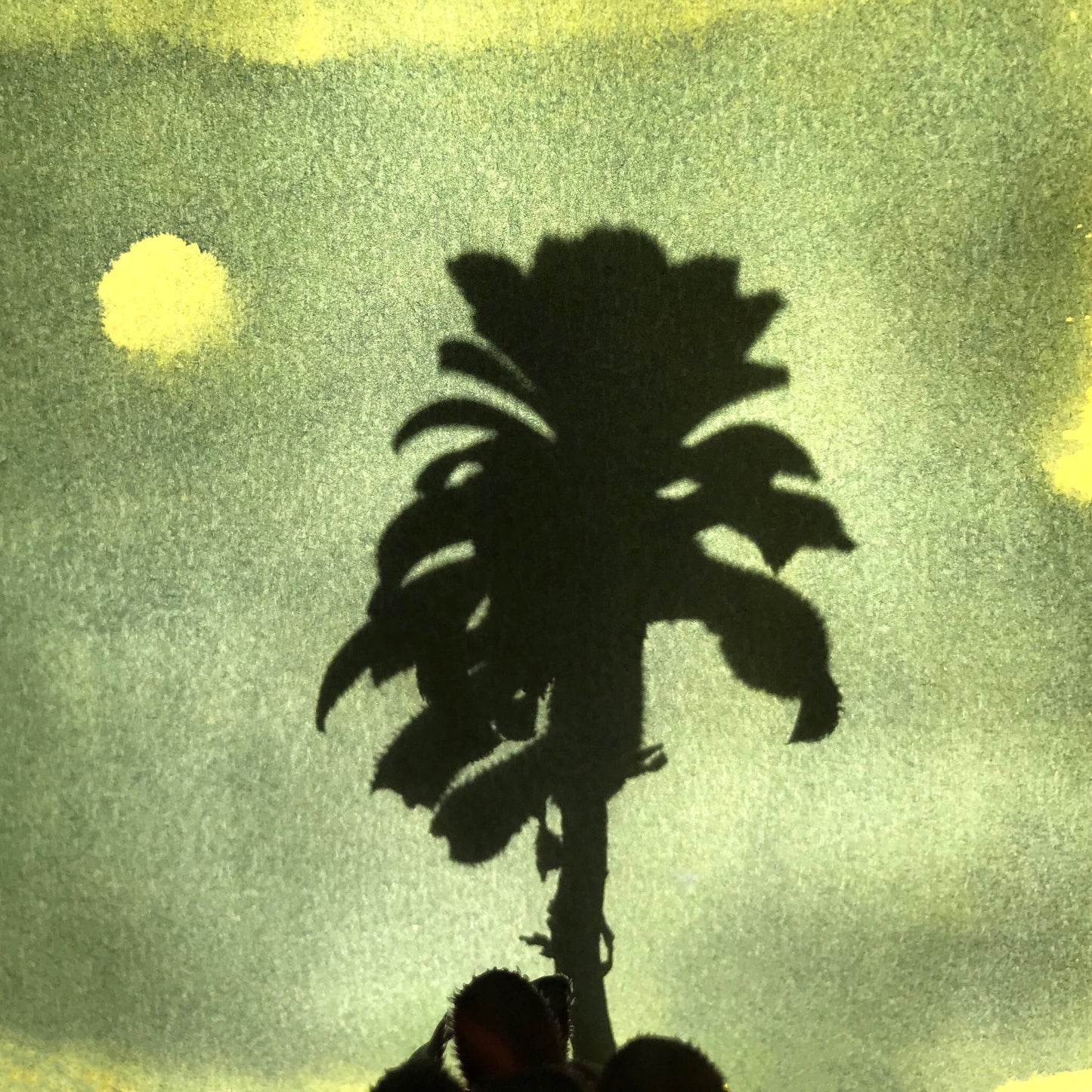 Carsten Halm - Licht Und Schatten