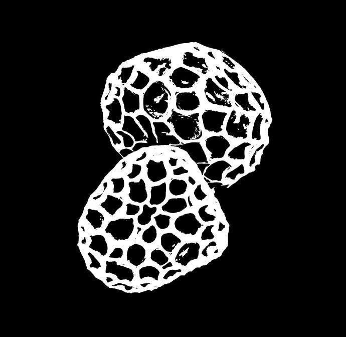 Chupacabras - Against Time