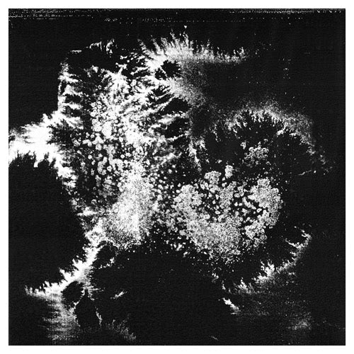 Vera Dvale & Psykovarius - Udu