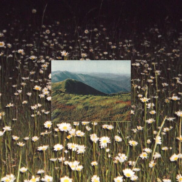 Sharp Veins - Lips The Same Color
