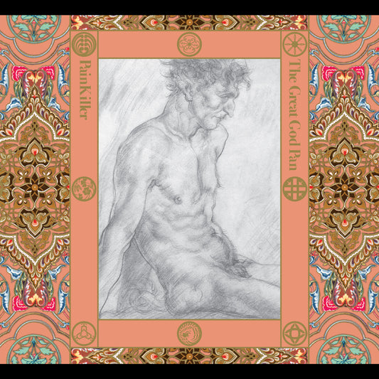 PAINKILLER - The Great God Plan [CD]