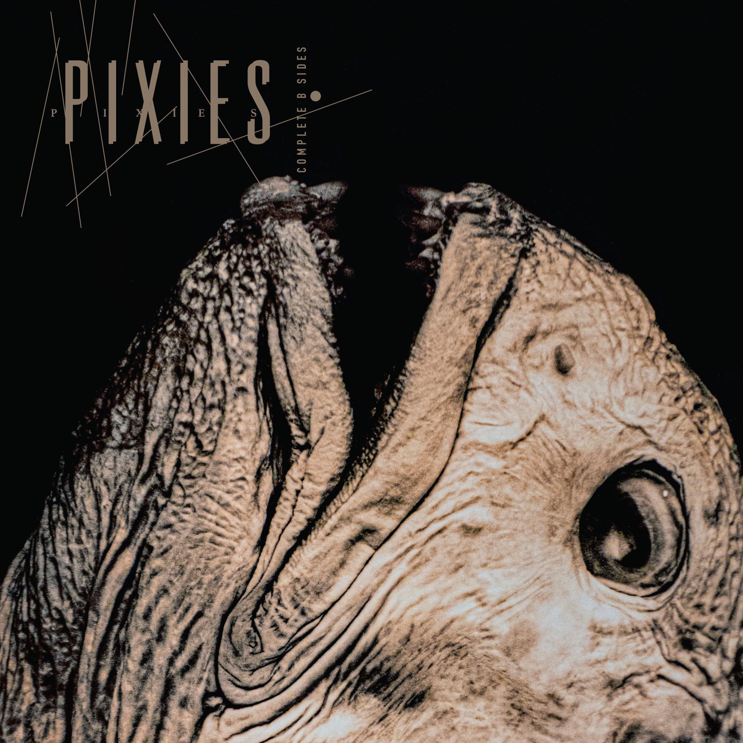 Pixies - Complete B Sides: 1988-97 (Remastered) [Crystal Clear 2LP]