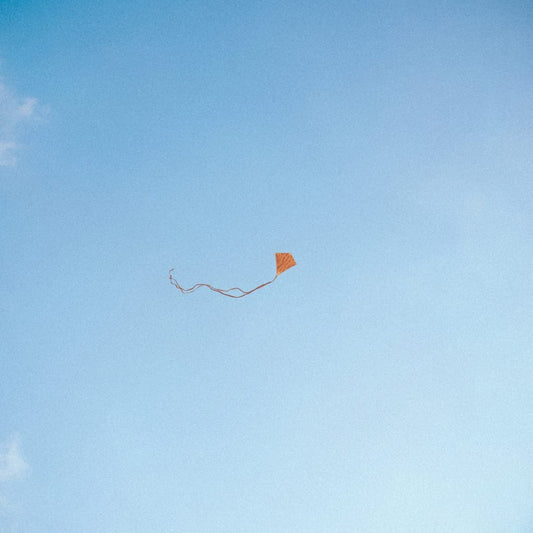 Chris Stussy - Lost, Found & Forgotten... [3LP]