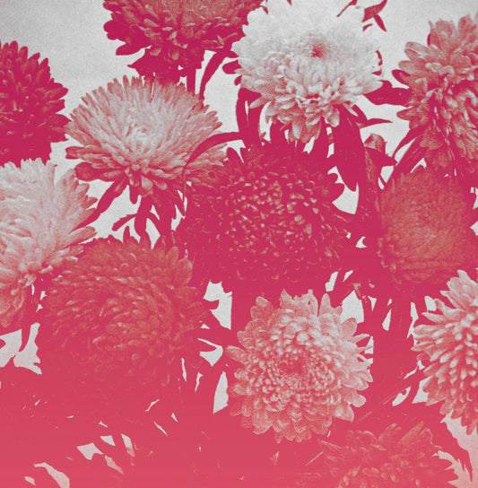 Amelia Courthouse - Broken Things [LP Indie Only]