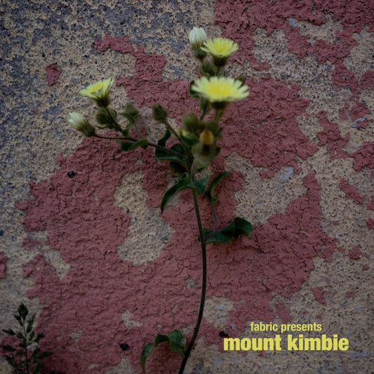 Mount Kimbie - fabric presents Mount Kimbie [LP]