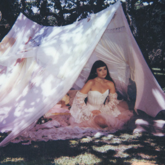 Julia Mestre - Maravilhosamente Bem [LP]