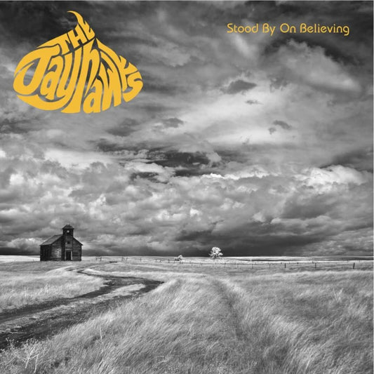 The Jayhawks - Stood By On Believing - The Classic Broadcasts 89-95 [4CD set]