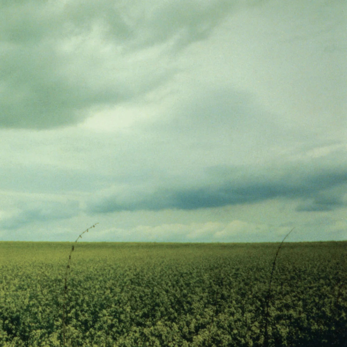 Antarctica - 23:03 [12EP Coke Bottle Clear Vinyl]