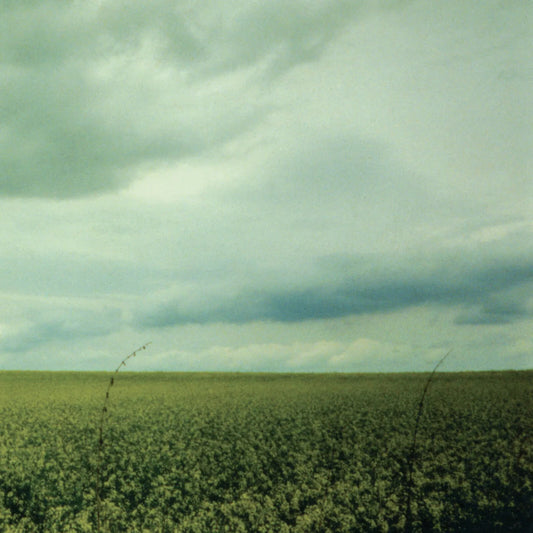 Antarctica - 23:03 [12EP Coke Bottle Clear Vinyl]