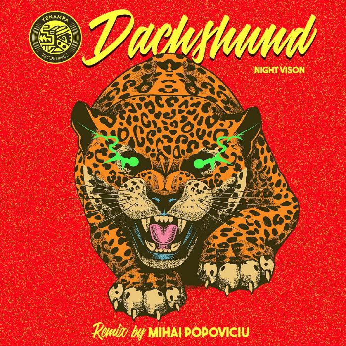 Dachshund - Night Vision (Mihai Popoviciu Remix)