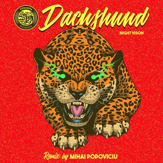 Dachshund - Night Vision (Mihai Popoviciu Remix)