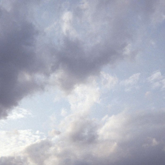 Celer - It Would Be Giving Up [4CD]