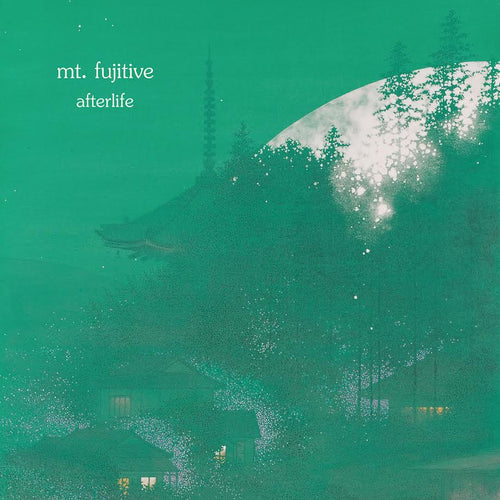 mt fujitive  - afterlife [LP]