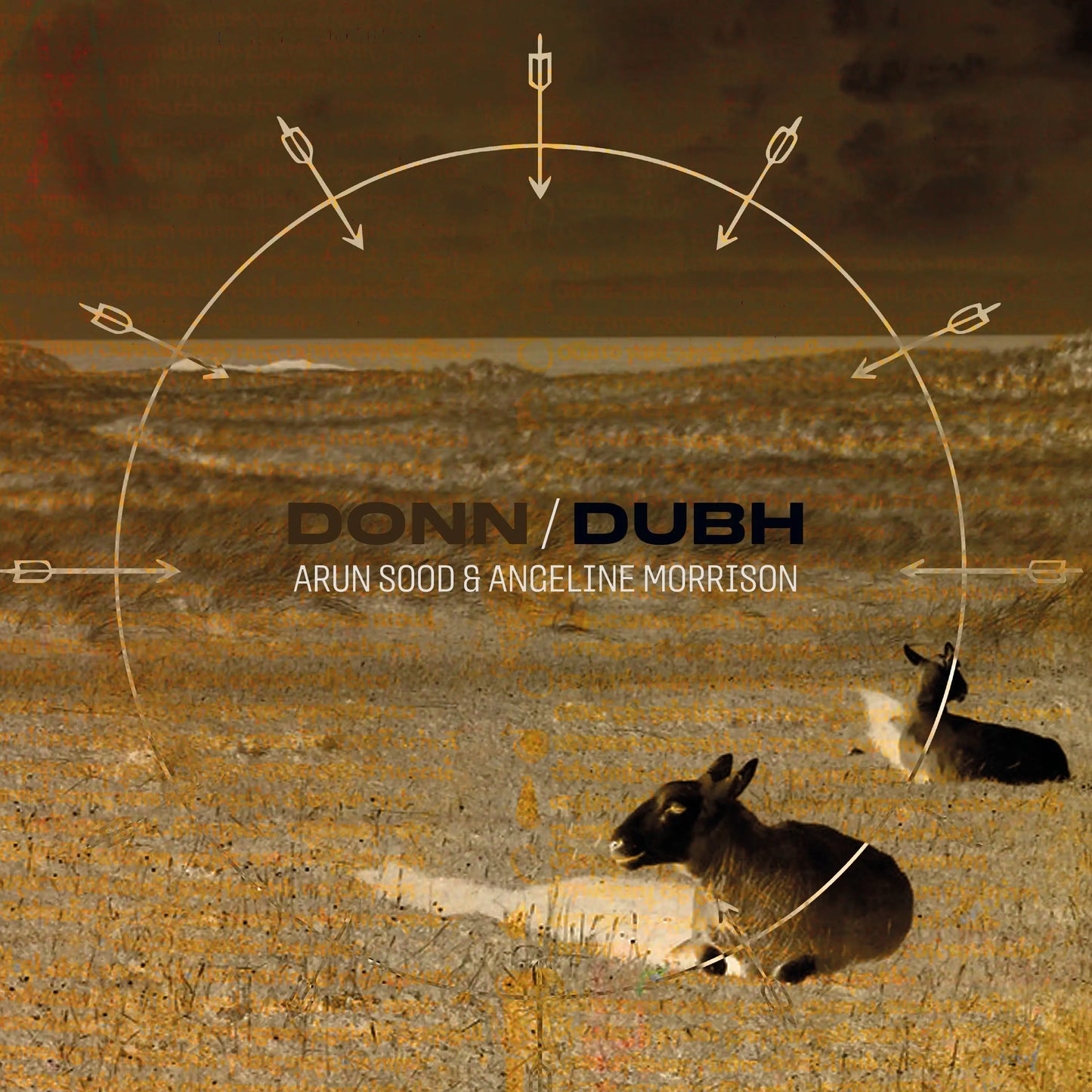 Arun Sood & Angeline Morrison - Donn/Dubh [Earth brown vinyl]