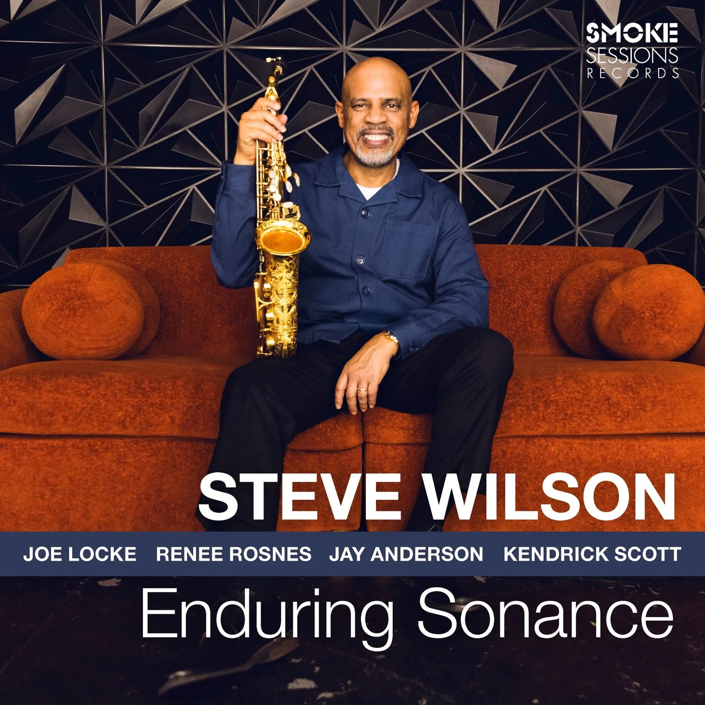 Steve Wilson - Enduring Sonance