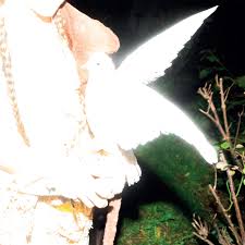 Elisabeth Klinck - Chronotopia [White Vinyl]