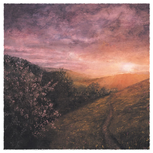 Sam Sweeney & Grace Smith - Morning of May [LP]