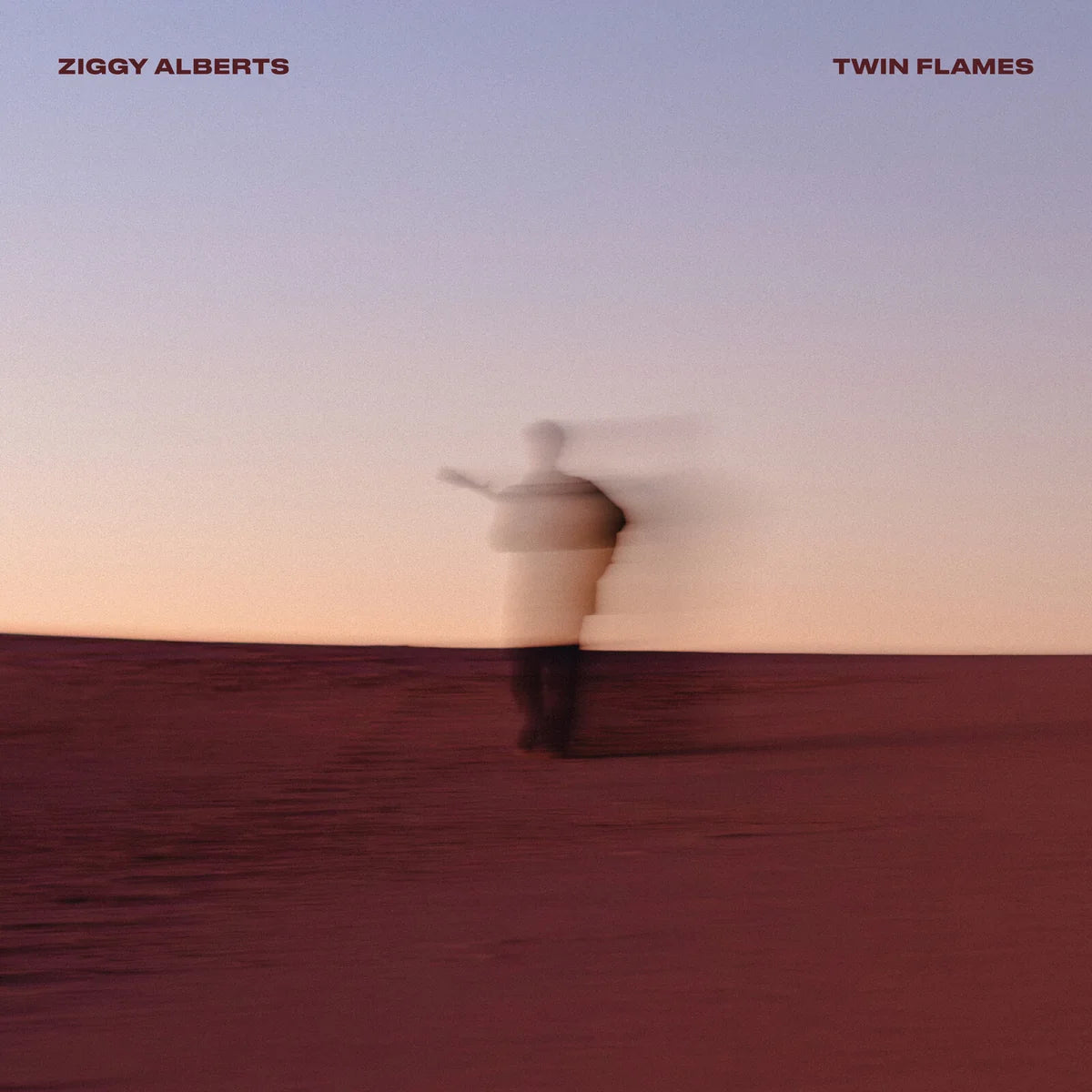 Ziggy Alberts - Twin Flames [CD]