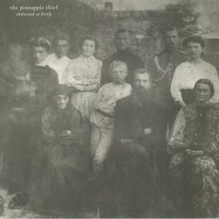 THE PINEAPPLE THIEF - ABDUCTED AT BIRTH [2LP]
