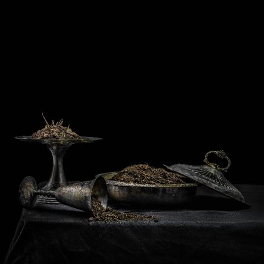 Holy Scum - All We Have Is Never [Purple Vinyl]