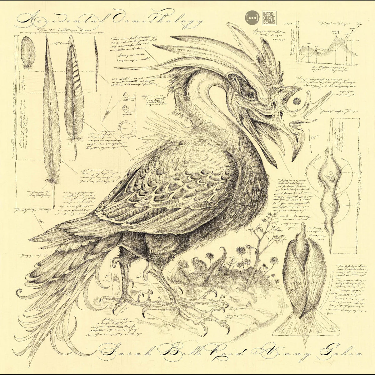 Sarah Belle Reid & Vinny Golia - Accidental Ornithology [CD]