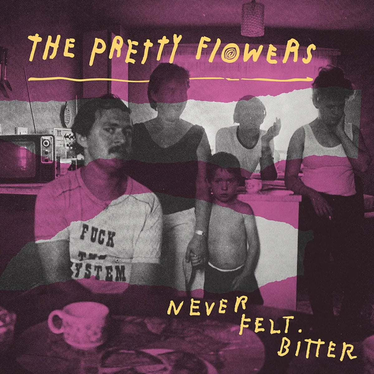 The Pretty Flowers - Never Felt Bitter [CD]