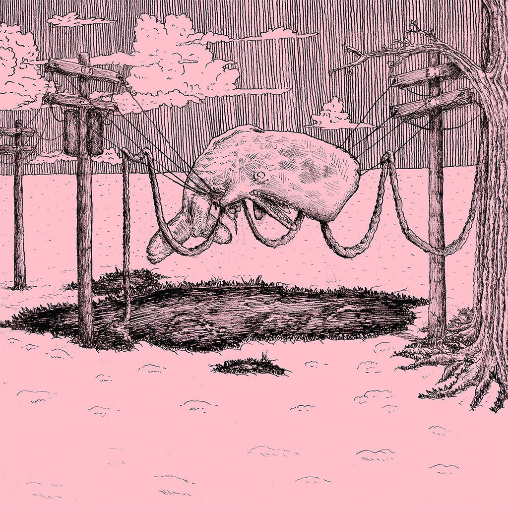 HOME IS WHERE - THE WHALER (PINK VINYL)