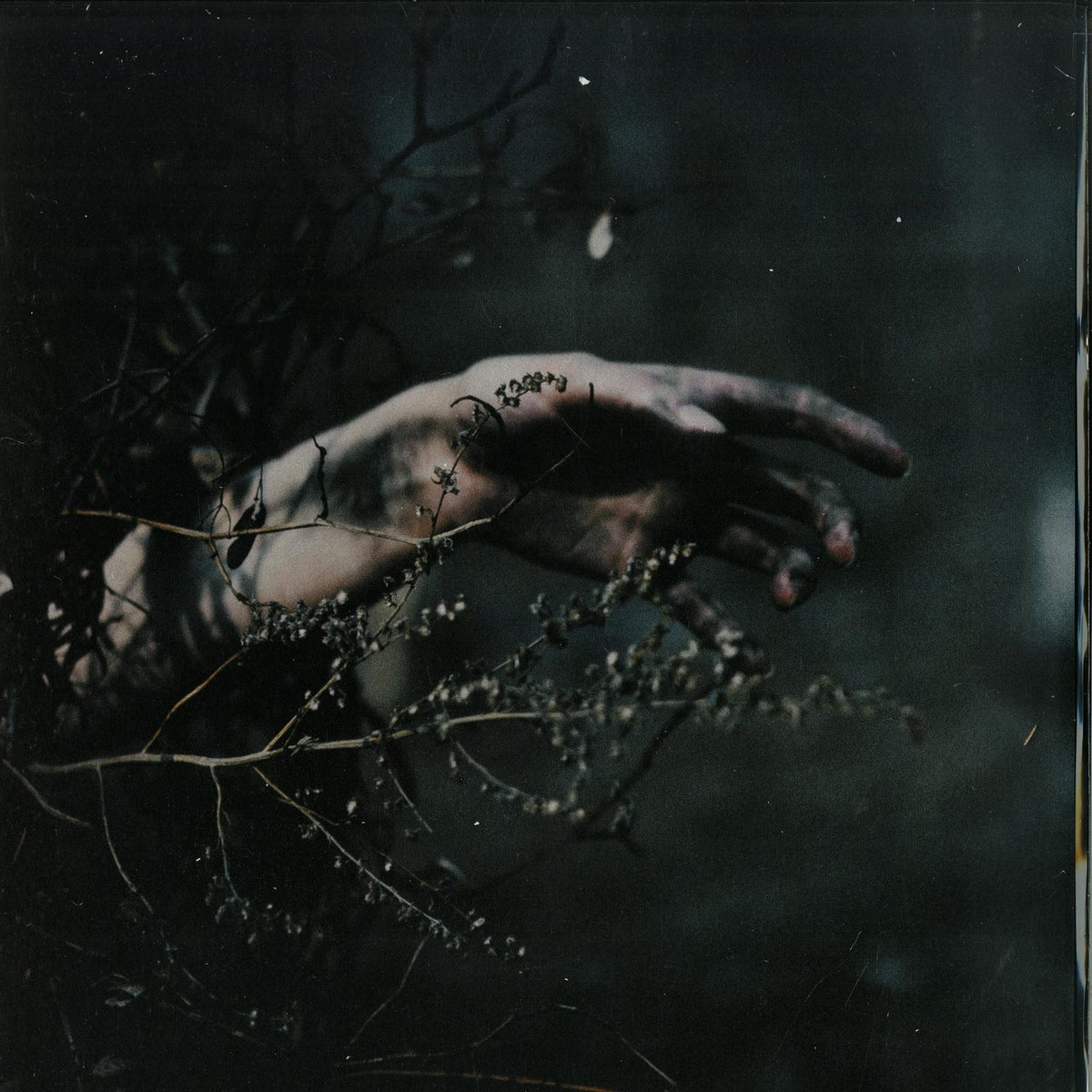 Alexey Volkov - The Escalation (Vinyl)