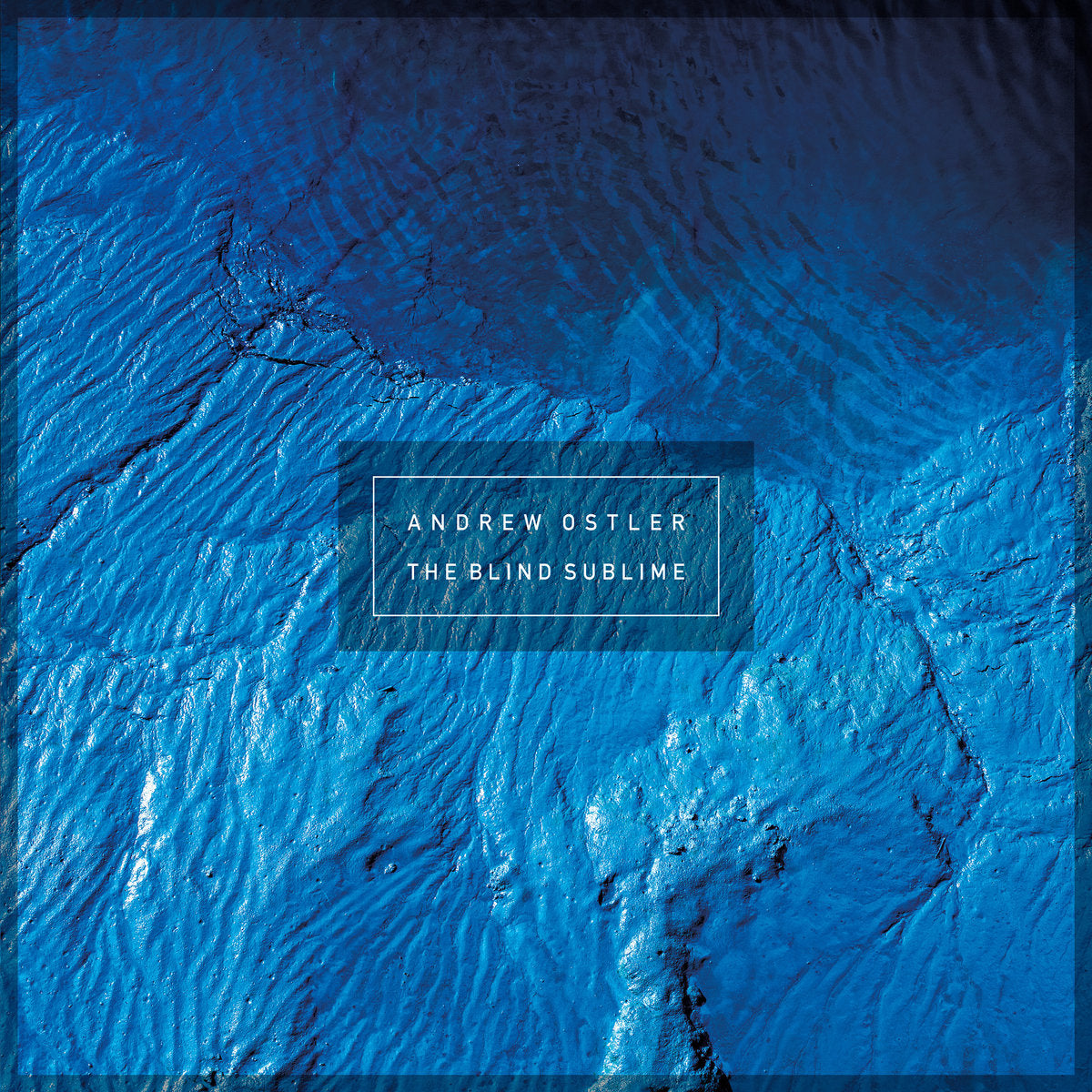 Andrew Ostler - The Blind Sublime [CD]