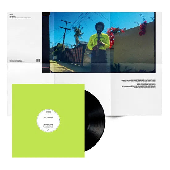 ANDRE 3000	- MOVING DAY