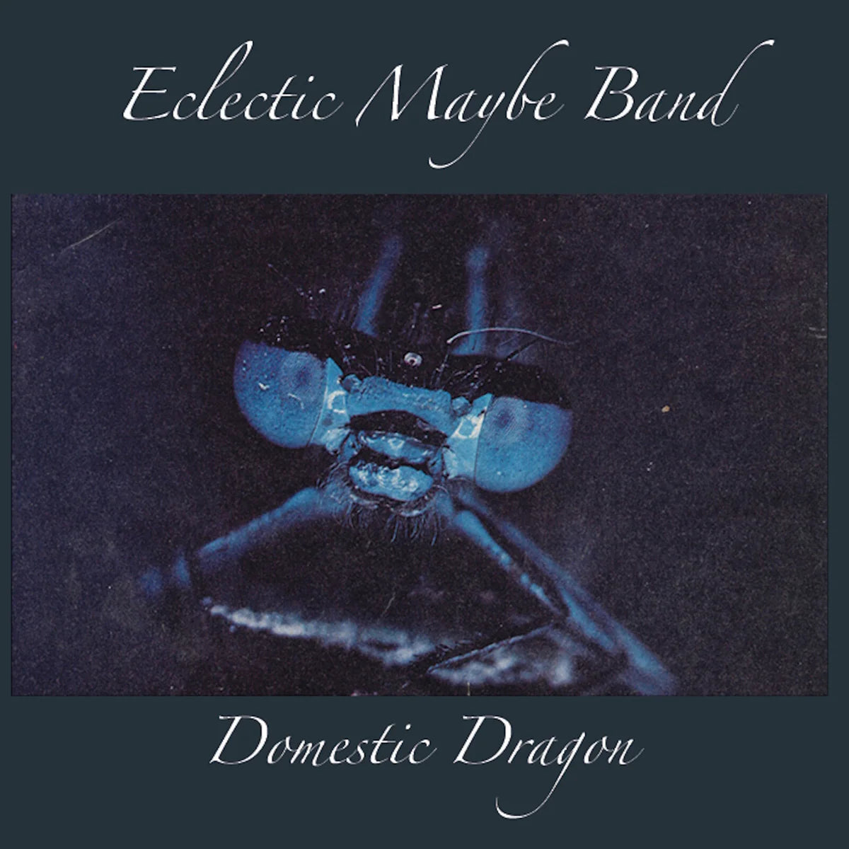 Eclectic Maybe Band - Domestic Dragon [CD]