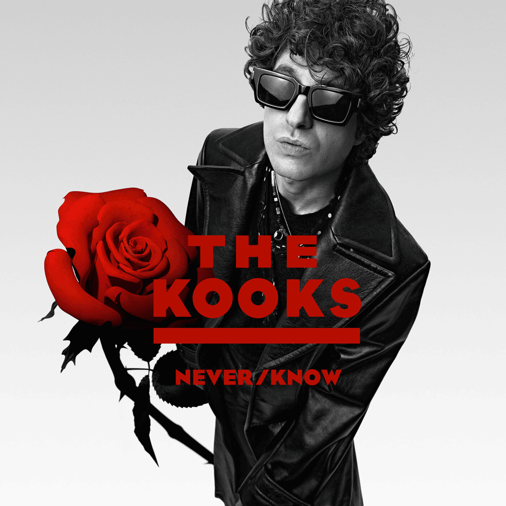 The Kooks - Never/Know [LP]