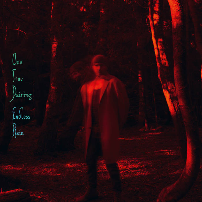 One True Pairing - Endless Rain [2LP]