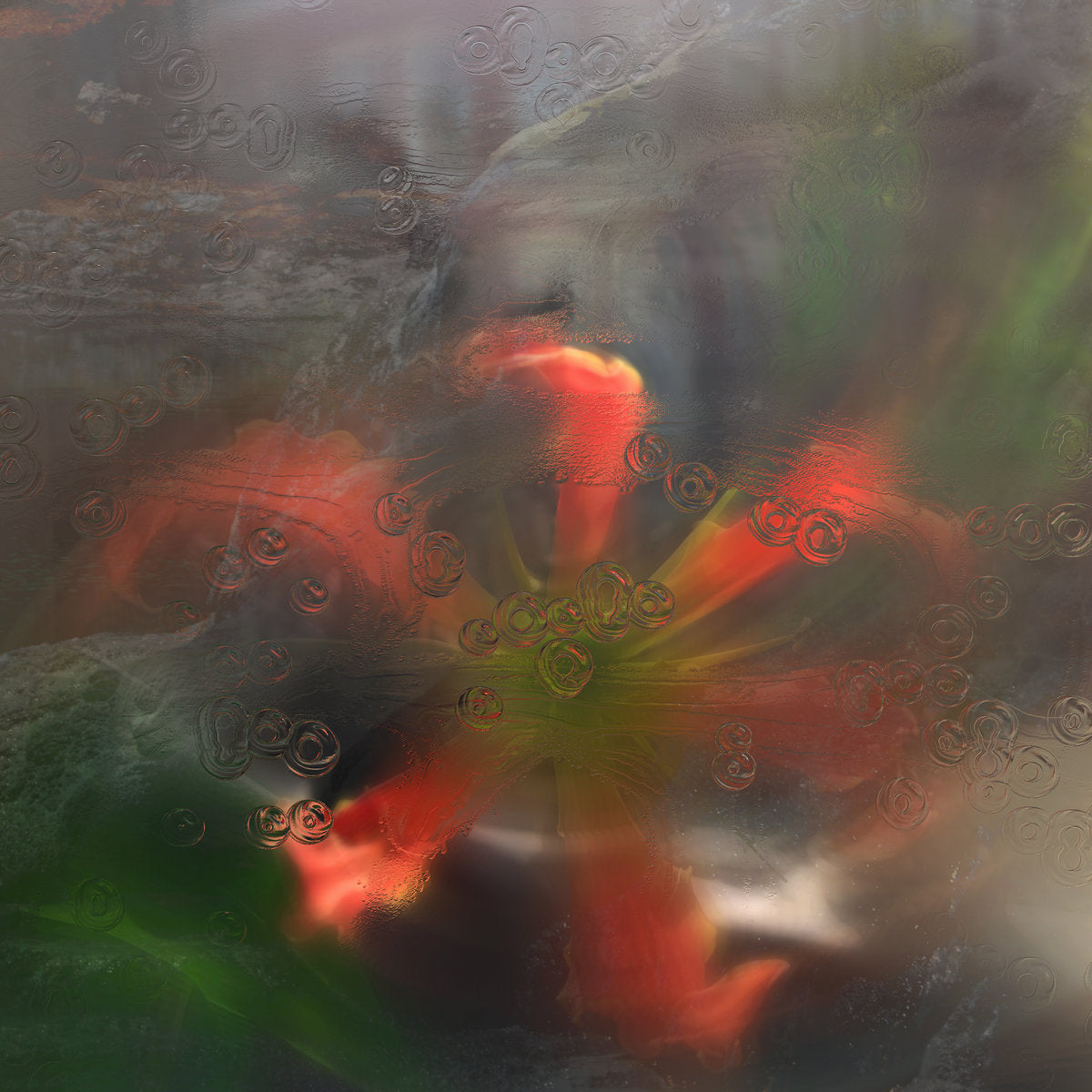 upsammy - Germ In A Population Of Buildings