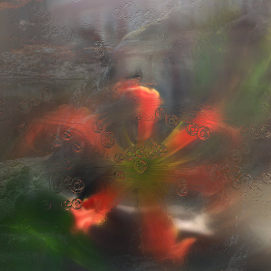 upsammy - Germ In A Population Of Buildings