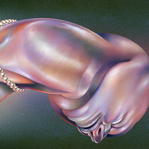 Walt Disco - The Warping [Pearl Edition]