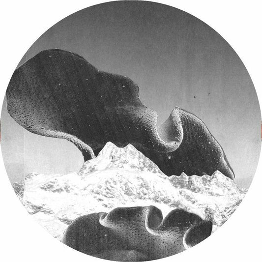 Eva LOVELESS / SLIMY APE / FURTIVE / BUCKLEY - Stepfamily