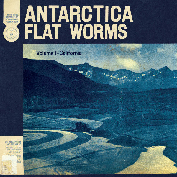 FLAT WORMS - ANTARCTICA