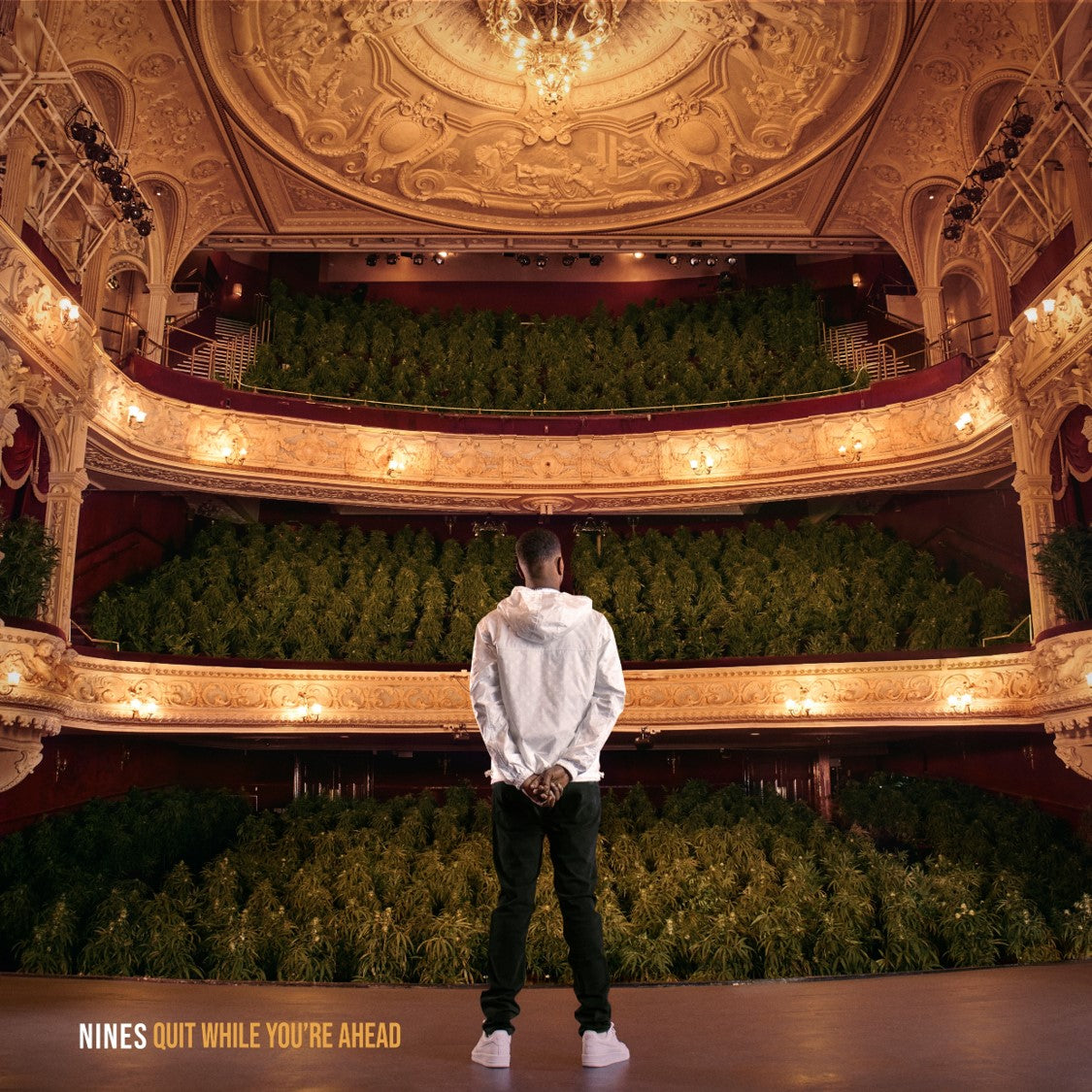 Nines – Quit While You're Ahead [CD]